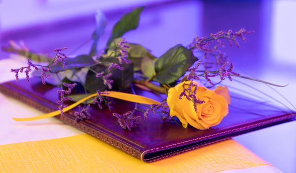 Auf einer Urkundenmappe liegt eine gelbe Rose.