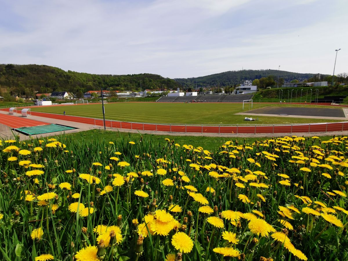 Im Hintergrund ein Sportplatz. Davor eine Wiese mit gelbem Löwenzahn.