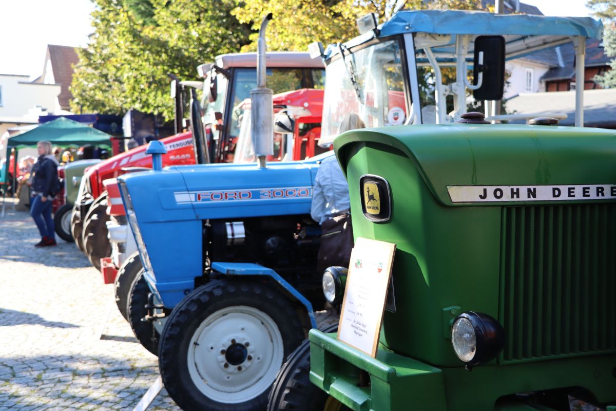 Verschiedene alte Traktoren stehen in einer Reihe nebeneinander.