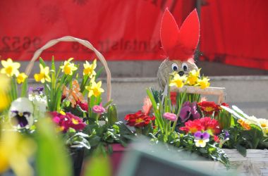 Bunte Blumen in Körben und Schalen.