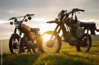 Zwei Simsons bei Sonnenuntergang.