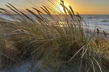 Eine Dühne bei Sonnenaufgang.