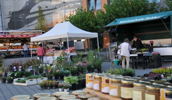 Blick auf den grünen Markt mit Blumen und Honig. (Foto: C.Heim)