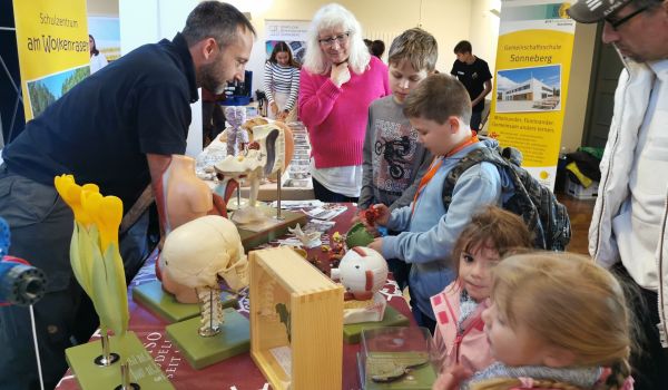 Interessierte schauen sich Modelle von Organen an.