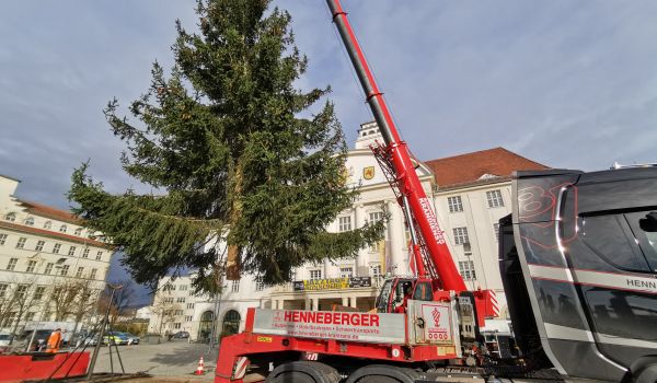 Vor dem Sonneberger Rathaus stellt ein Kran einen großen Weihnachtsbaum auf.