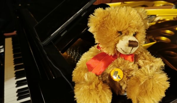 Ein Teddybär sitzt auf einem Flügel.