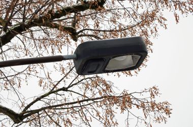 Nahaufnahme: Eine alte Straßenbeleuchtung. Darüber sind Äste.