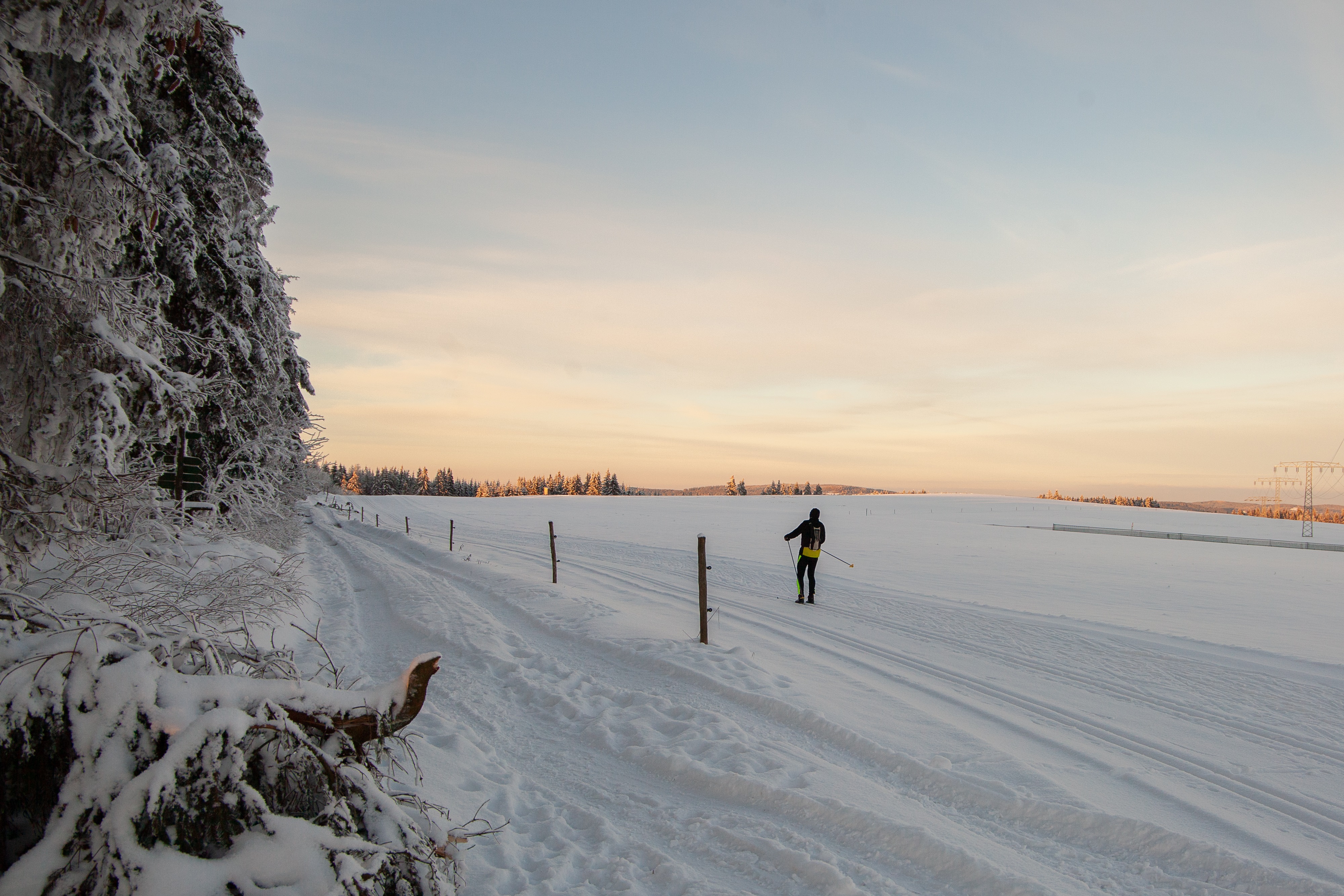 Auf einer verschneiten Wiese fährt jemand Ski. Links daneben ein Wald.
