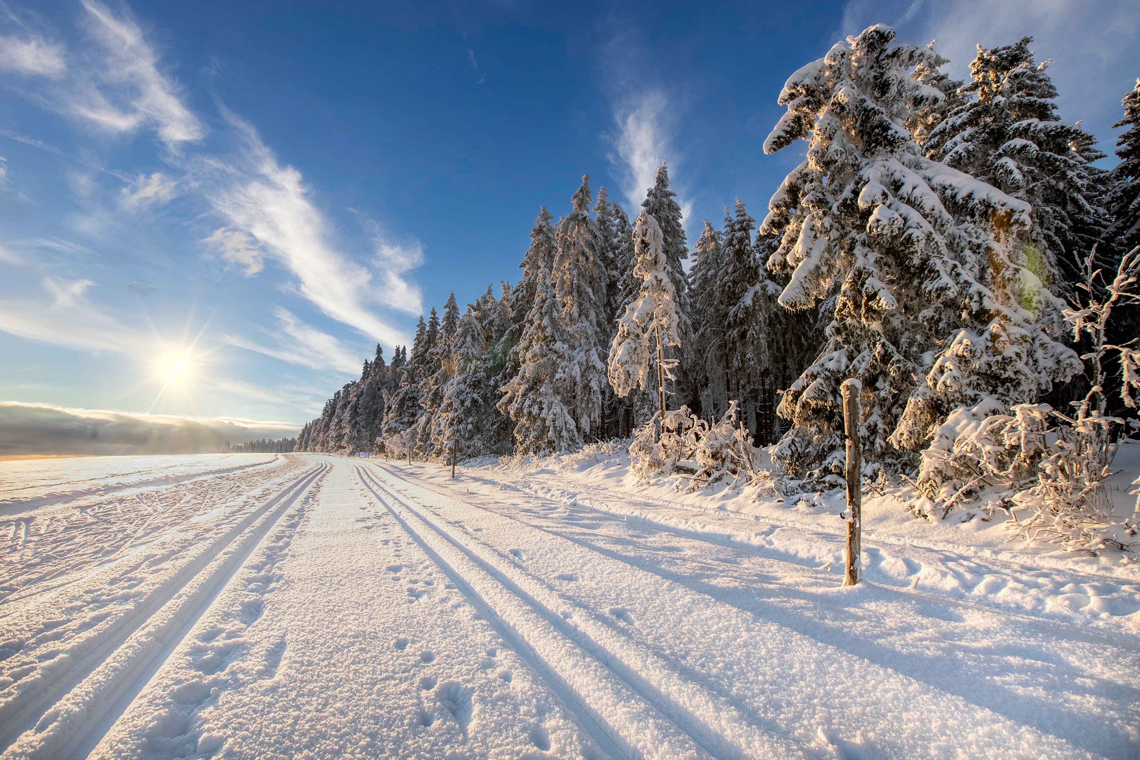 Eine verschneite Winterlandschaft mit Bäumen. Die Sonne geht auf.