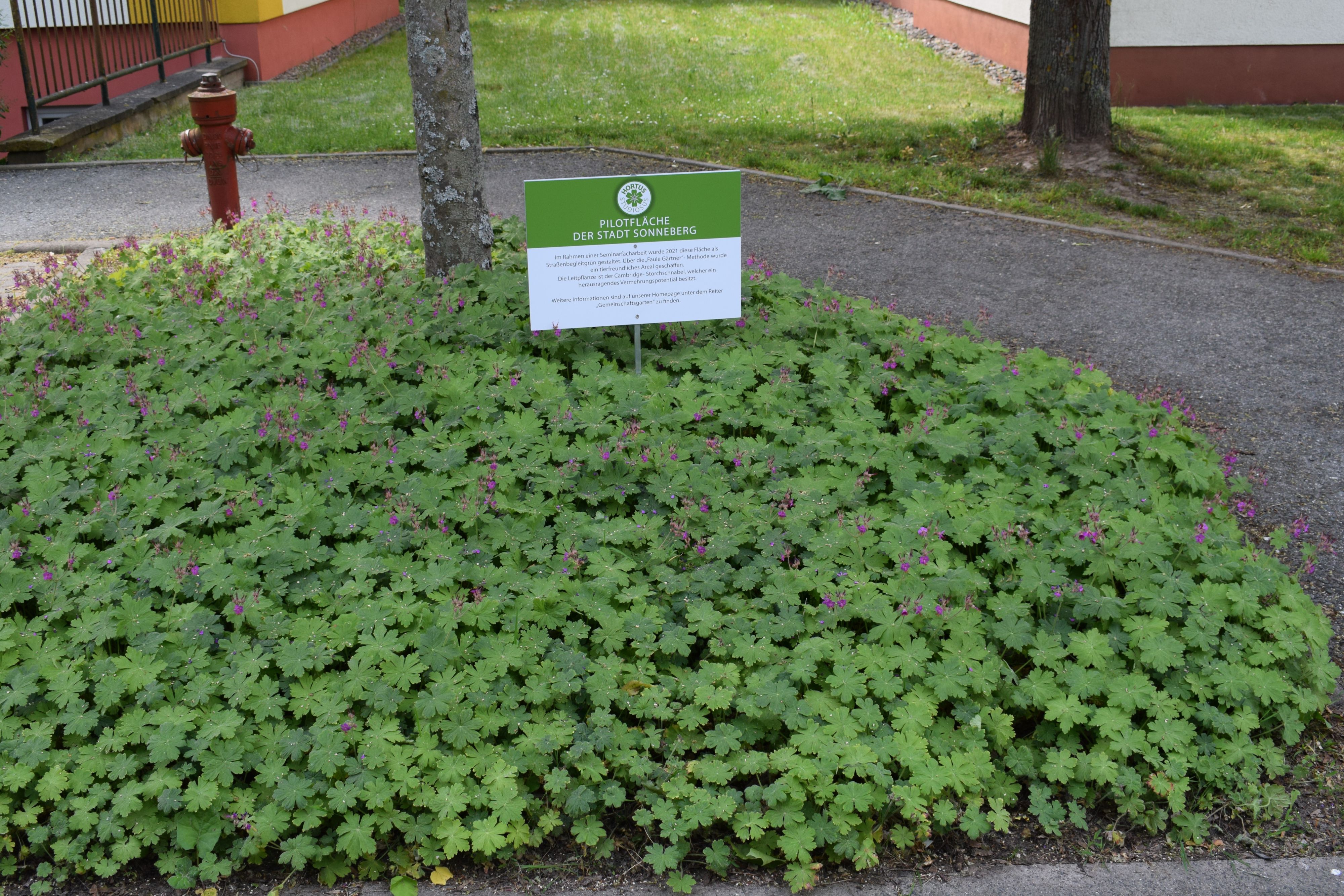 Auf einem Schild in einem Beet steht: Pilotfläche der Stadt Sonneberg.