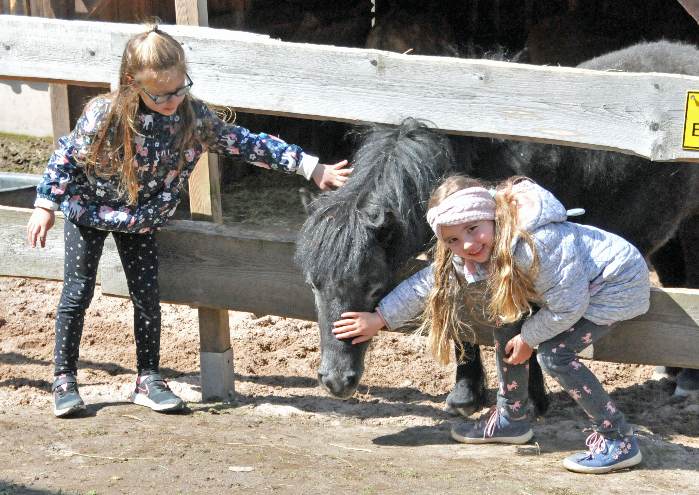 Zwei Kinder streicheln ein Ponny.