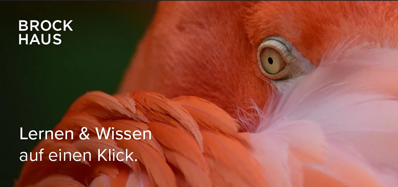 Brockhaus Online-Enzyklopädie