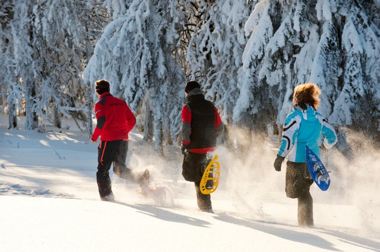 Drei Winterwanderer in einem Wald.