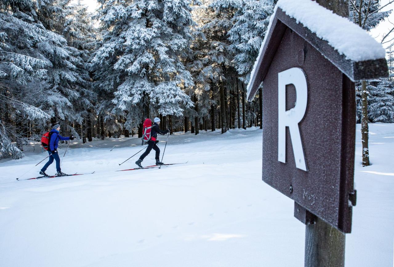 Langläufer auf einem Skiwanderweg.